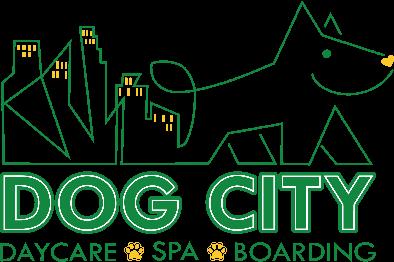 Discover which Dog City service is ideal for your furry friend! Tailored to your dog's personality and your needs.