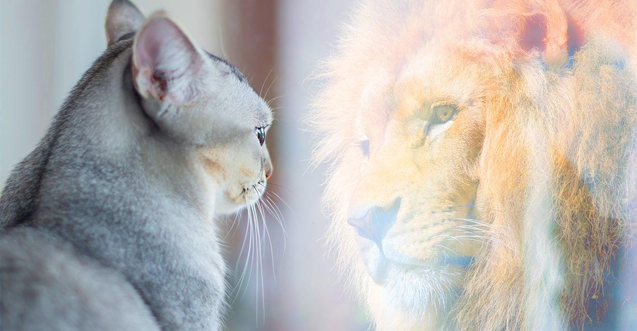 Explore the vibrant world of personal development blogs and find the one that resonates with your journey to self-improvement!