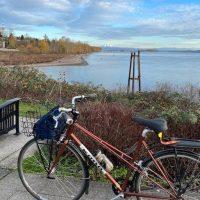 Find out which bike suits you best based on your lifestyle and riding habits! Let's get rolling!