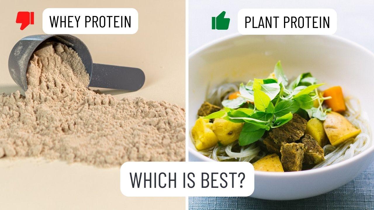 Discover your ideal protein powder with this engaging quiz! Are you team whey or team plant? Let's find out!
