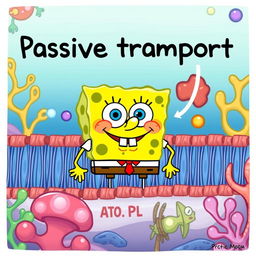 A humorous and playful illustration depicting passive transport across a cell membrane, featuring SpongeBob SquarePants' face instead of the typical substances