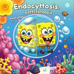 A colorful and playful illustration representing endocytosis and exocytosis, featuring SpongeBob SquarePants' face instead of the usual substances