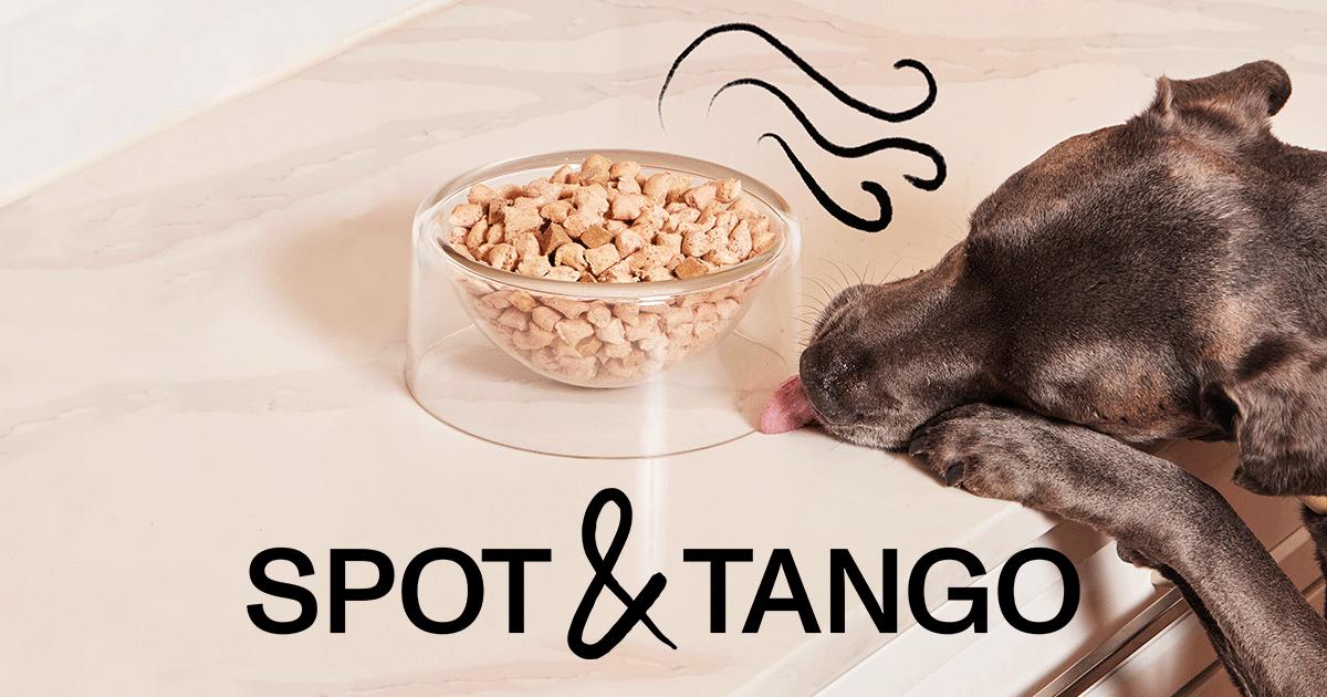 Discover the perfect dog food solution tailored to your pet's needs with this fun and engaging quiz!