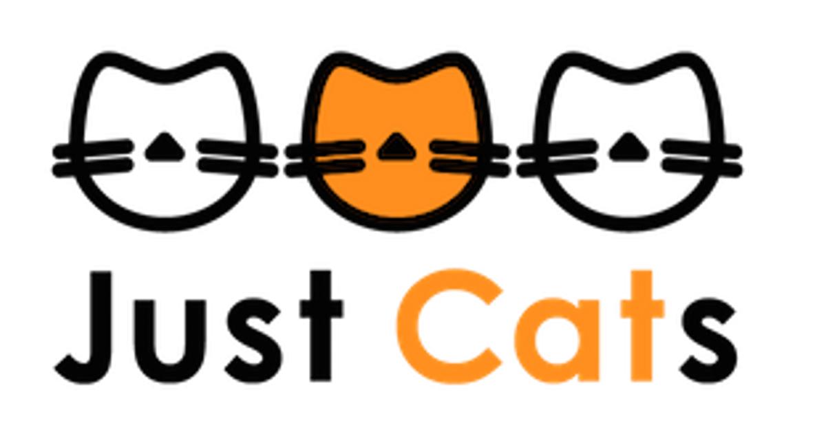 Take our fun quiz to discover which cat toy from Just Cats Store matches your feline friend's unique personality and play style!