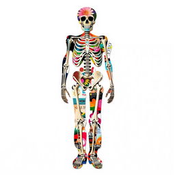 A dynamic and imaginative collage depicting the full-body silhouette of a skeleton, constructed from a variety of magazine cut-outs