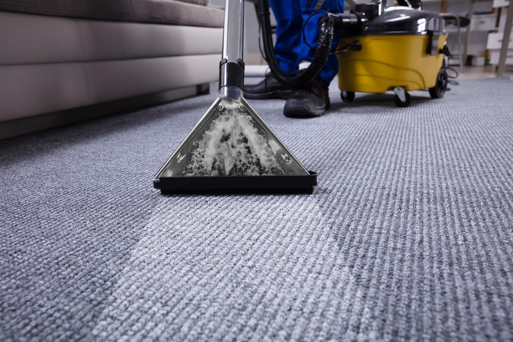 Explore the ideal cleaning service tailored to your specific needs with our fun and informative quiz!