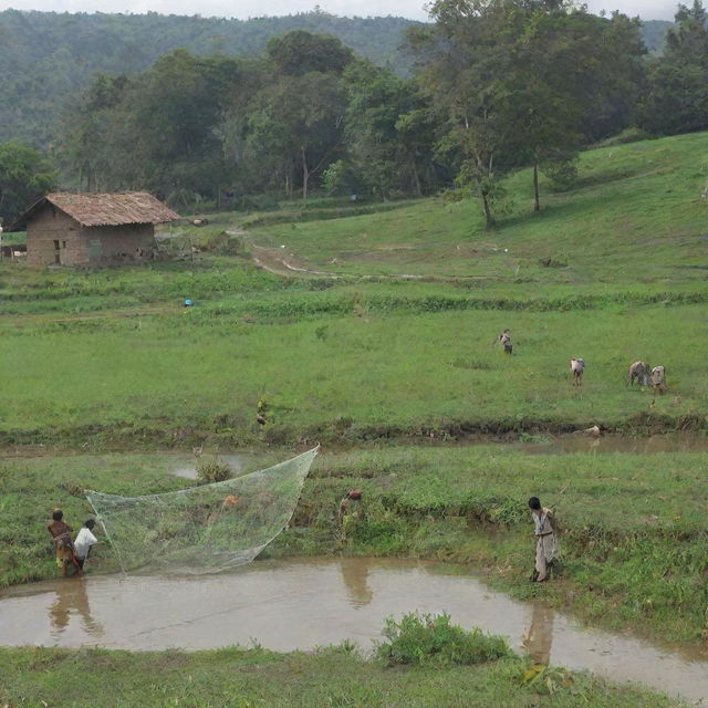 Villagers catching fish with a net in a pastoral setting, showcasing rural livelihood