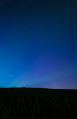 A stunning scene featuring a vibrant blue and green sky with a dark, textured grass foreground