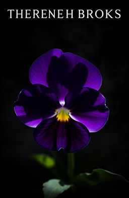 A detailed close-up of a viola flower with velvety purple petals and striking yellow centers, positioned ominously against a dark, shadowy background