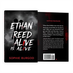 A captivating double-sided book cover featuring a dark, mysterious theme of murder