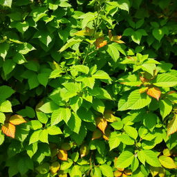 A lush and vibrant scene filled with a multitude of leaves in various shades of green and some autumn hues