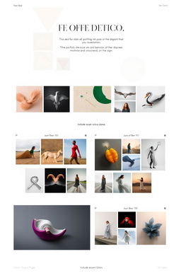 A professional portfolio layout showcasing a variety of creative works, including art, photography, and design