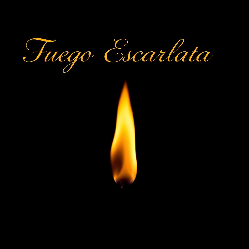 The words 'Fuego Escarlata' elegantly positioned at the top of the image in beautiful, flowing typography