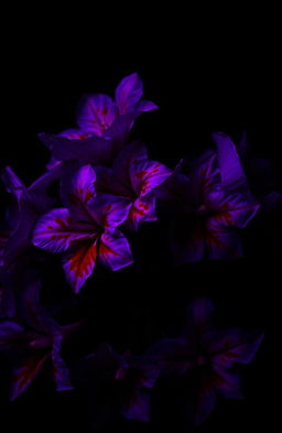 A visually striking composition featuring vibrant purple flowers with vivid red blood splatters on their petals, set against a contrasting dark background