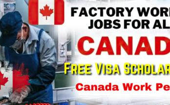 Dive into the world of luxury and discover which exclusive product aligns best with your lifestyle and preferences! Are you ready to elevate your shopping game?