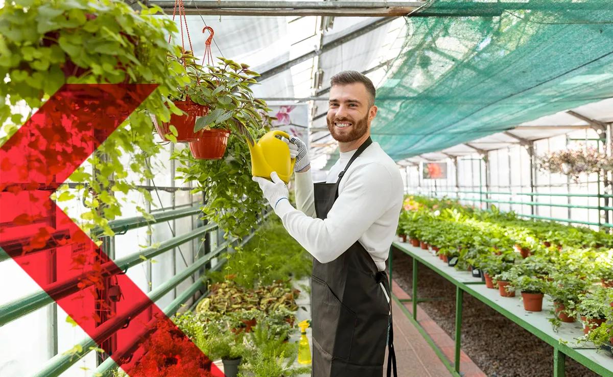 Take this quiz to find out which vertical farming system aligns with your lifestyle and sustainability goals!