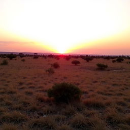 A serene African landscape at sunset, capturing the moment just before the sun sets, casting warm hues across the scene