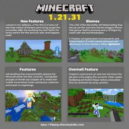 Detailed visualization or overview of the Minecraft patched version 1