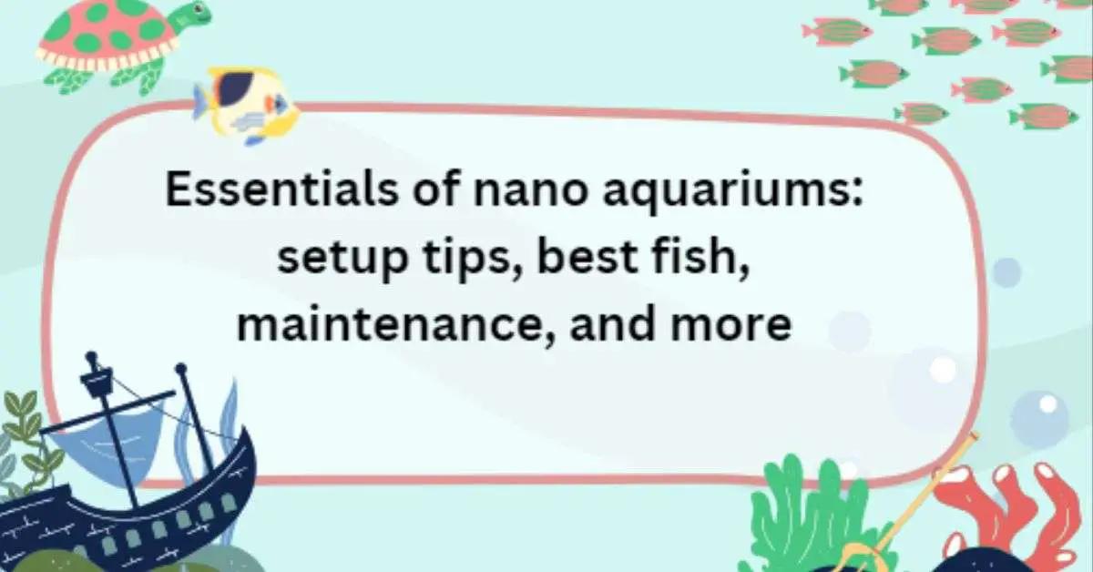 Dive into the world of nano aquariums and discover the ideal tank for your space, whether you're a beginner or a seasoned aquarist!
