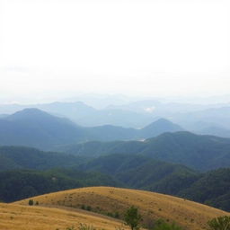 A vast, panoramic view of a rolling landscape featuring distant hills shrouded in dense, dark green forests