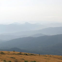A vast, panoramic view of a rolling landscape featuring distant hills shrouded in dense, dark green forests