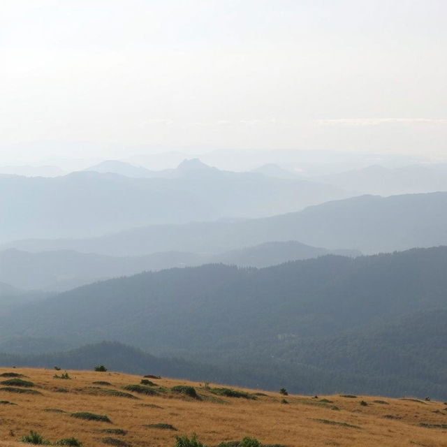 A vast, panoramic view of a rolling landscape featuring distant hills shrouded in dense, dark green forests