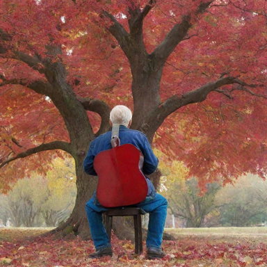 Depict an elderly man seen from behind, playing guitar under a large vibrant red tree with leaves falling around him.