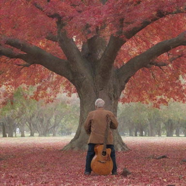 An elderly man seen from behind, holding a guitar under a massive red tree with leaves falling around him.