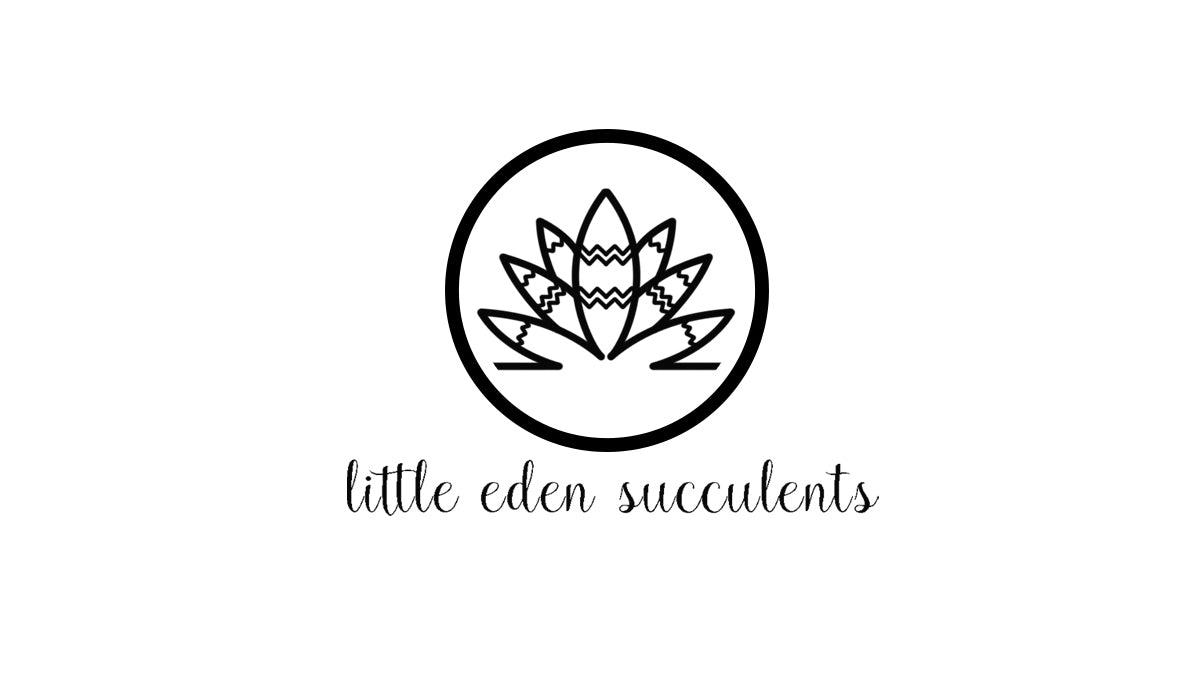 Unleash your creativity while diving into the exciting world of terrariums! This quiz will help you find the perfect terrarium style that matches your project needs.