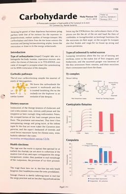 A scientific research paper on carbohydrates, discussing their structure, classification, functions in biological systems, and their importance in human nutrition