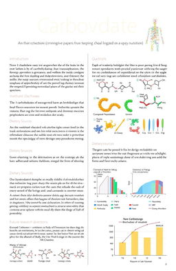 A scientific research paper on carbohydrates, discussing their structure, classification, functions in biological systems, and their importance in human nutrition