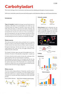 A scientific research paper on carbohydrates, discussing their structure, classification, functions in biological systems, and their importance in human nutrition