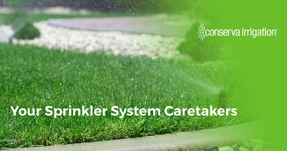 Discover the ideal irrigation solution for your lawn and garden with our fun quiz! Whether you're looking to save time, water, or enhance the health of your plants, our short questionnaire will guide you to the best system for your needs.