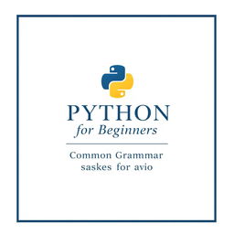 An elegant and professional cover page for a Python programming guide aimed at beginners, specifically highlighting grammar mistakes