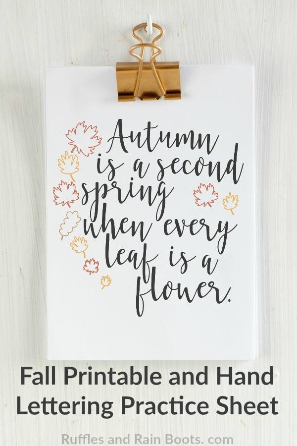Embrace the beauty of autumn with hand lettering! Take this quiz to discover the best product for your seasonal crafting needs.