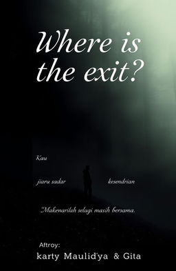 A novel cover for 'Where is the exit?' featuring an enigmatic and moody atmosphere