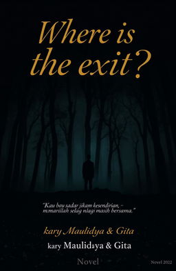 A novel cover for 'Where is the exit?' featuring an enigmatic and moody atmosphere