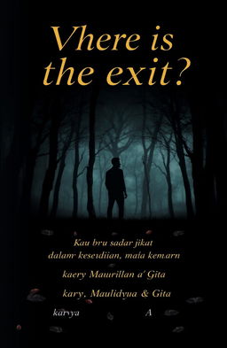 A novel cover for 'Where is the exit?' featuring an enigmatic and moody atmosphere