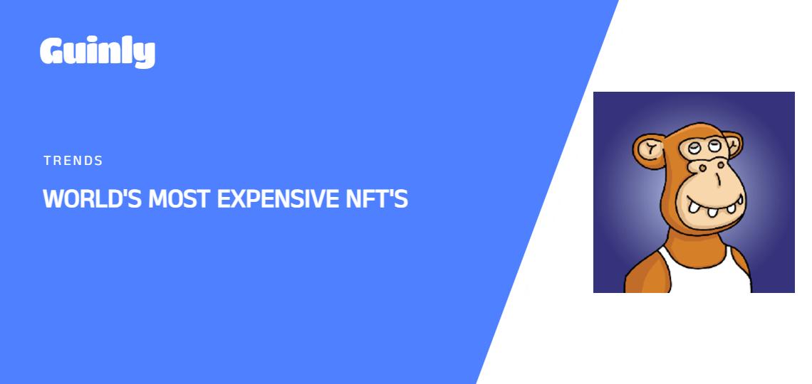 Curious about which NFT could be the best addition to your digital collection? Take this quiz to uncover the perfect option for you!