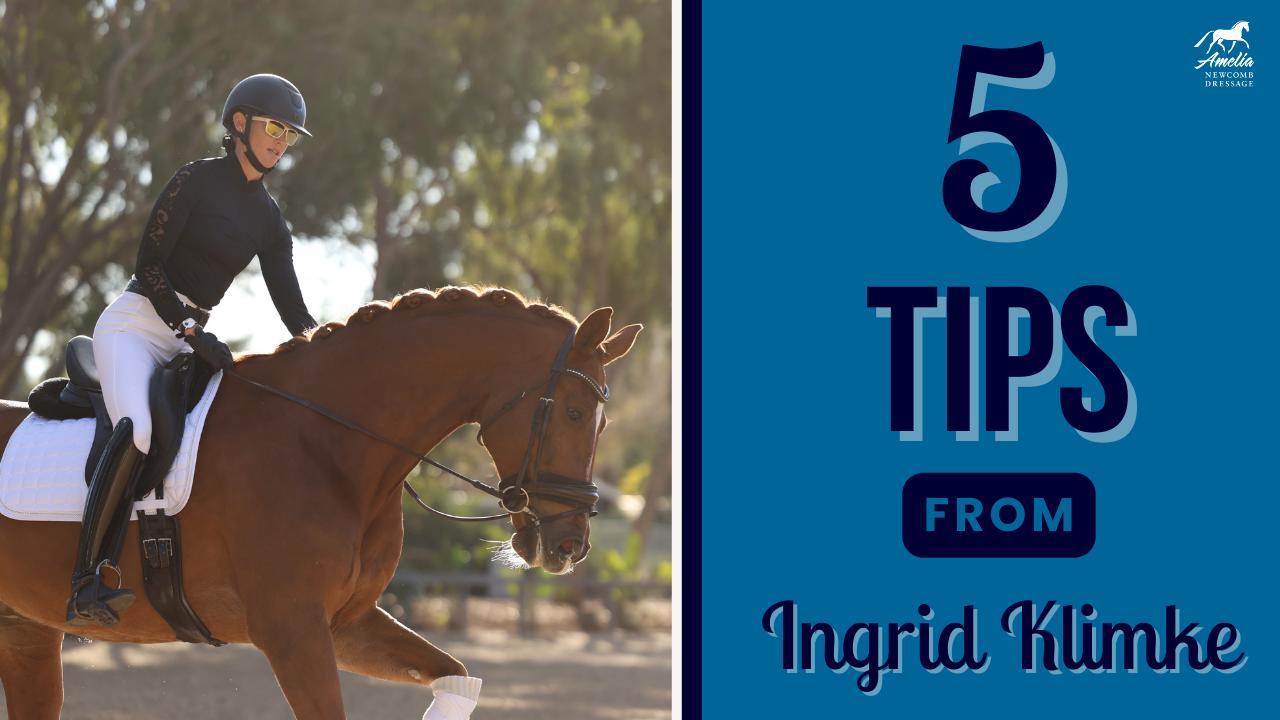 Find Your Perfect Dressage Tips!