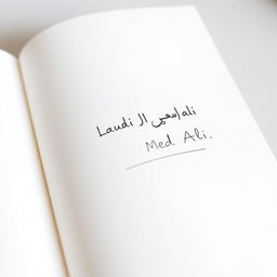 A pristine white page featuring elegant, thin black italic Italian script