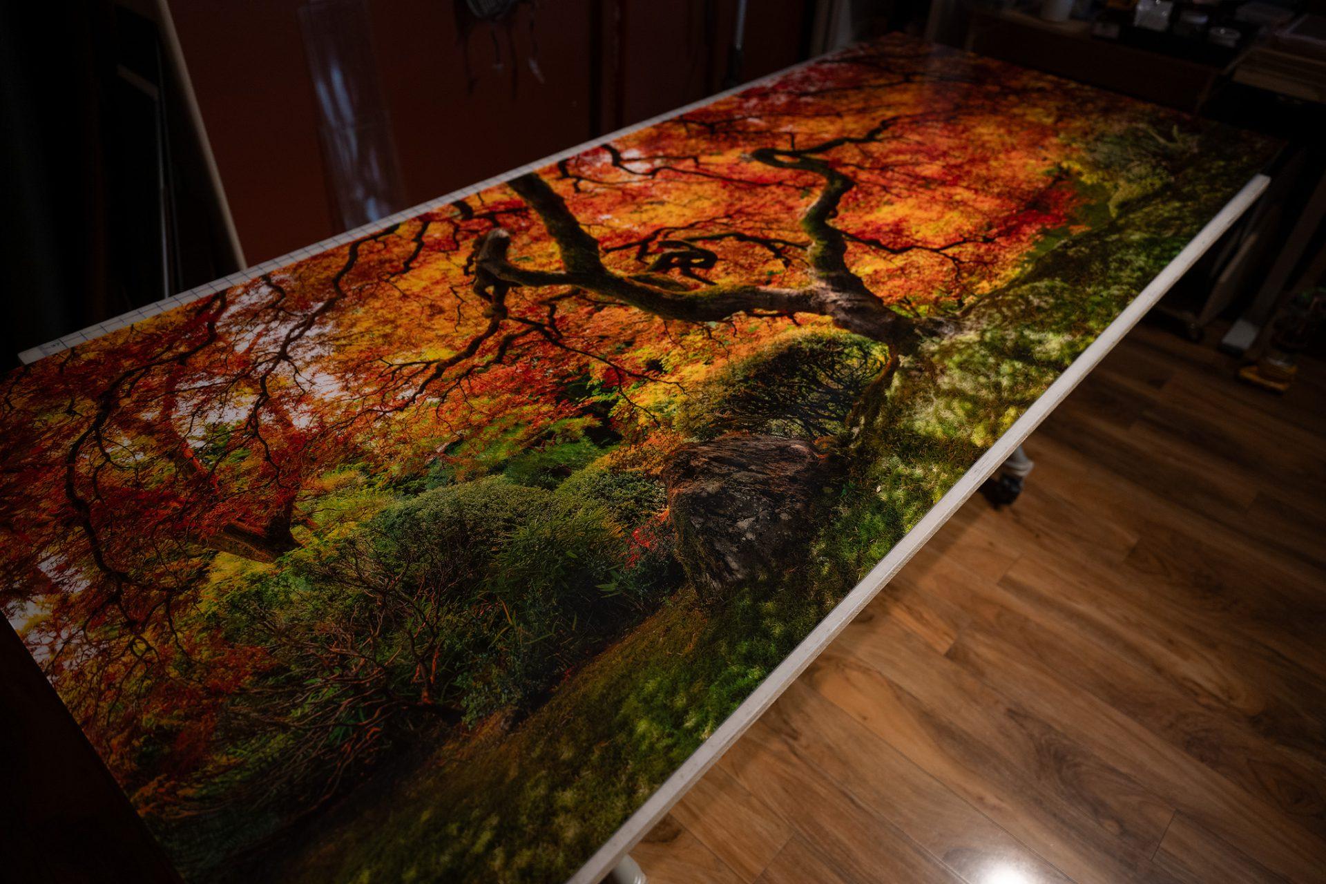 Uncover which acrylic face-mounted print best suits your style and budget with our engaging quiz! Whether you're a seasoned collector or a photography enthusiast, we've got options for everyone.