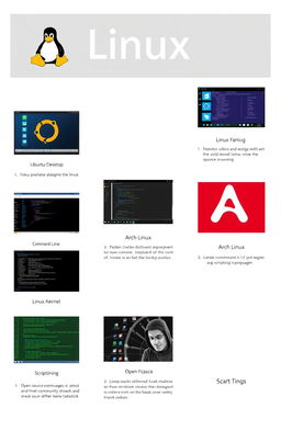 A visually appealing report page showcasing a series of high-quality images, each representing different Linux-related topics