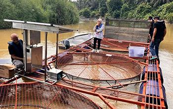 Dive into this quiz to find the water quality sensor that best suits your aquaculture requirements! Whether you're managing a massive operation or a small farm, we've got the right fit for you.