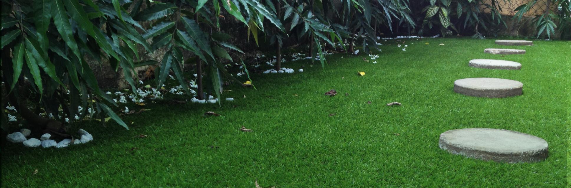 Unlock your landscaping potential with the perfect artificial grass product! Answer a few questions, and let us guide you to the ideal fit for your home or garden project.