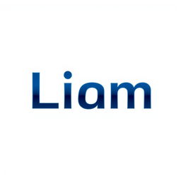 A modern and sleek logo design featuring the name 'Liam'