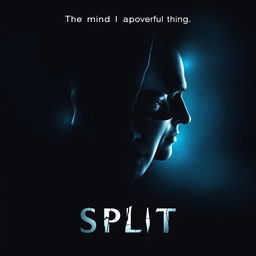 A promotional movie poster for 'Split', featuring a fragmented face design that symbolizes the character's multiple personalities