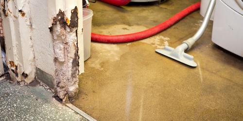 Take this quick quiz to find out which dehumidifier suits your water damage restoration needs best! Discover the top picks for effective moisture removal!
