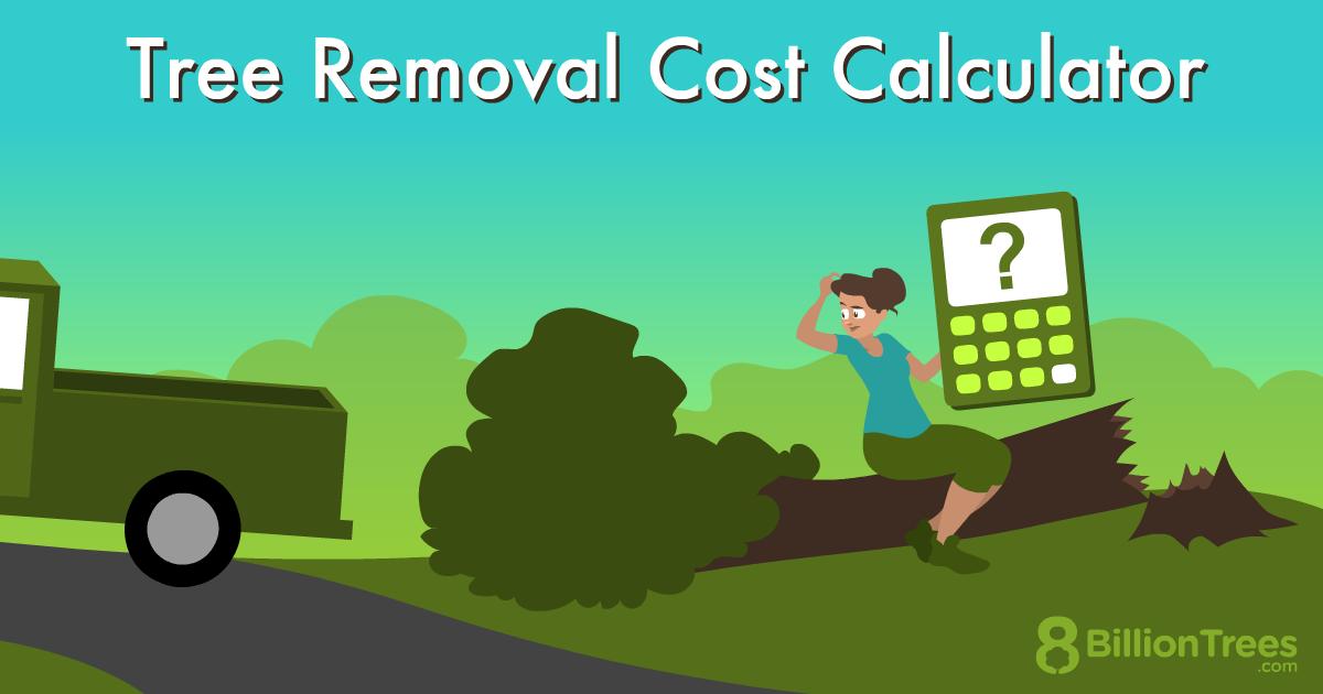 Find Your Perfect Tree Removal Solution