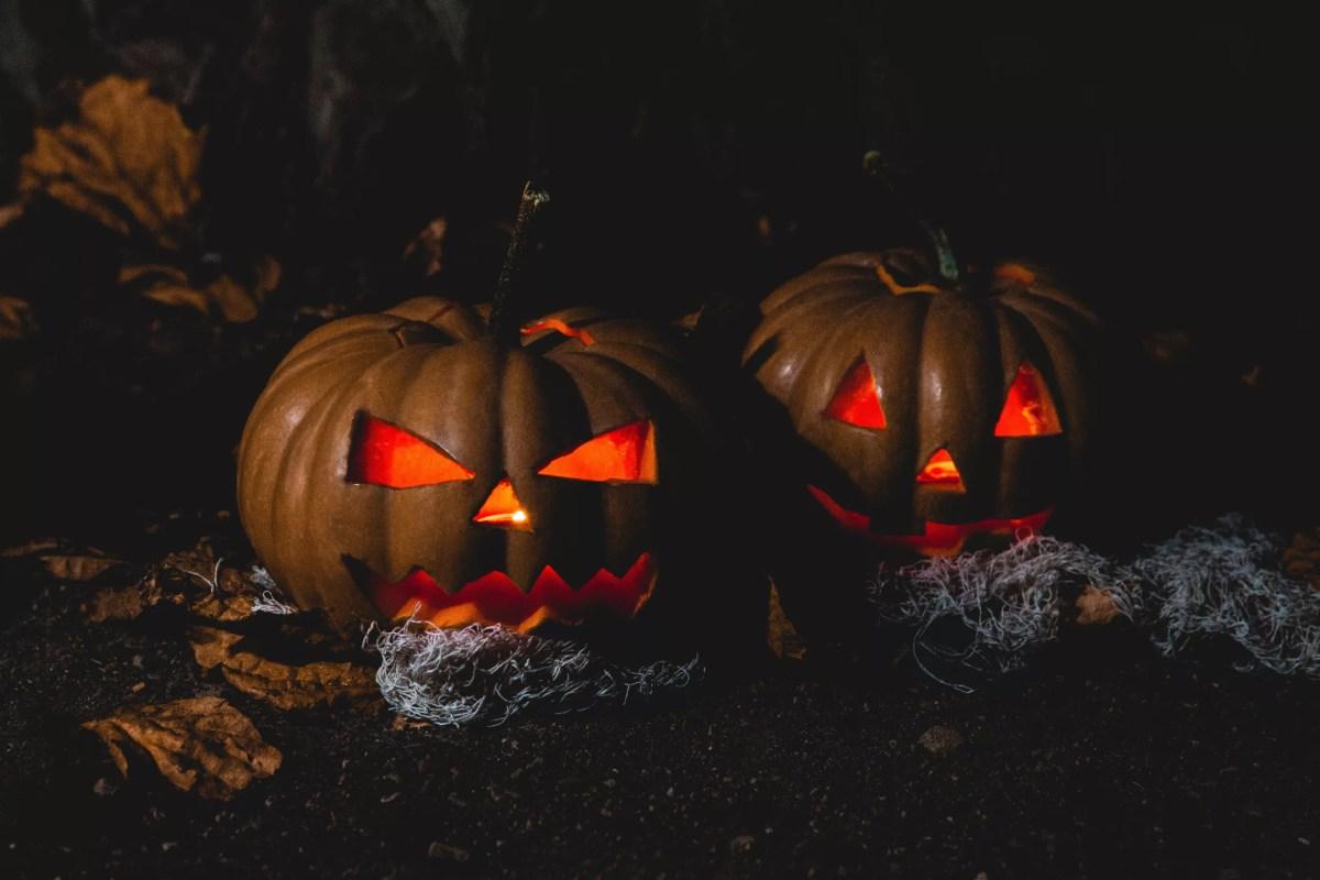 Not sure where to find the spookiest costumes this Halloween? Take this fun quiz to discover which local costume store in NYC, Long Island, or Westchester suits your unique style and needs!